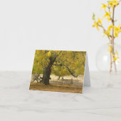 10月2006日037日 カード (黄色い花)