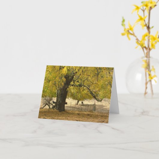 10月2006日037日 カード (黄色い花)