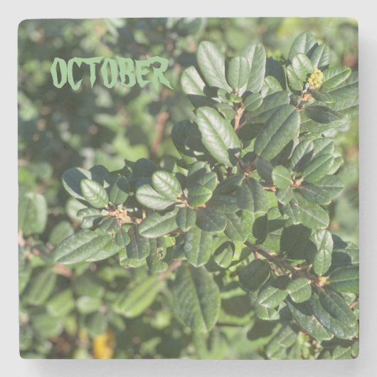 10月 ストーンコースター (正面)