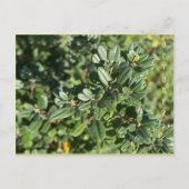 10月 ポストカード (正面)