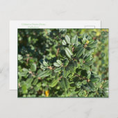 10月 ポストカード (正面/裏面)