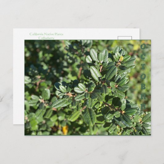 10月 ポストカード (正面/裏面)