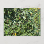 10月 ポストカード (正面)