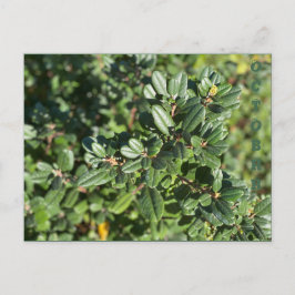 10月 ポストカード