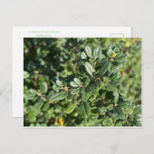 10月 ポストカード (正面/裏面)