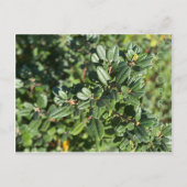 10月 ポストカード (正面)