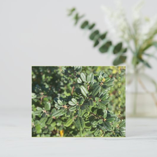 10月 ポストカード (スタンド正面)