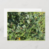 10月 ポストカード (正面/裏面)