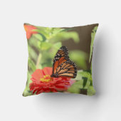 10月（昆虫）オオカバマダラ、モナーク クッション (裏面)