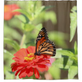 10月（昆虫）オオカバマダラ、モナーク シャワーカーテン (正面)