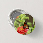 10月（昆虫）オオカバマダラ、モナーク 缶バッジ (正面&裏面)