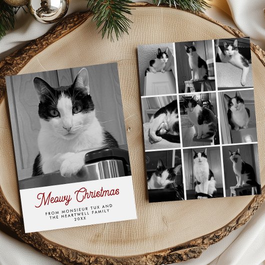 10枚の猫の写真 Meowy Christmas 楽しい シーズンカード