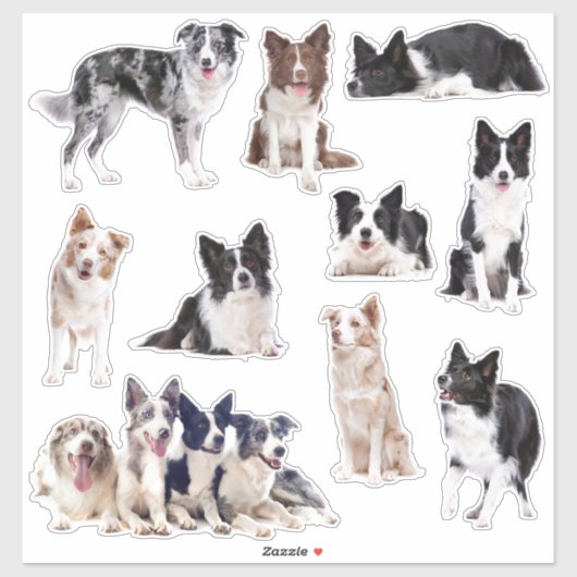 10縁どステッカーのCollieセット シール (シート)