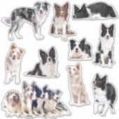10縁どステッカーのCollieセット シール (正面)