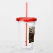 10羽のハチドリが集まる熱帯地方 アクリルタンブラー (右)