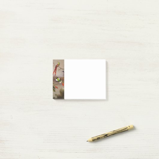 10羽のハチドリが集まる熱帯地方 ポストイット (デスク上)