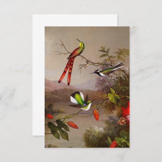 10羽のハチドリが集まる熱帯地方 出欠カード (正面/裏面)