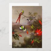 10羽のハチドリが集まる熱帯地方 招待状 (正面/裏面)