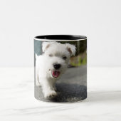 10週間の古い女性の西の高地テリア ツートーンマグカップ (中央)