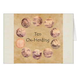 10頭の雄牛の写真