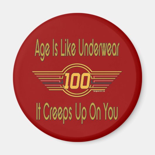 100おもしろい誕生日ギフト – 年齢は下着のようなものだ マグネット (正面)