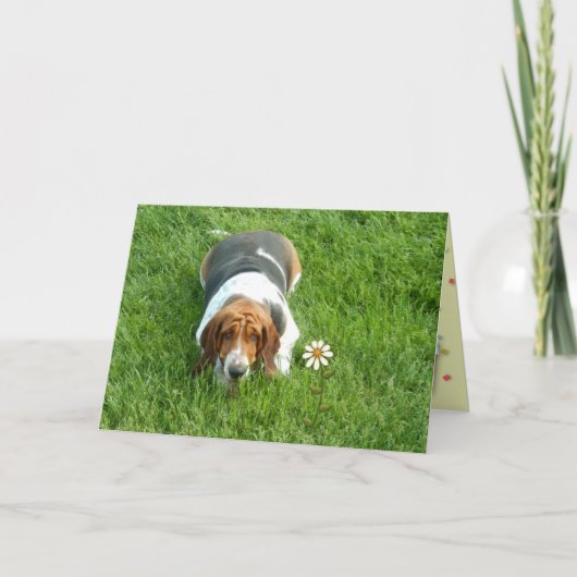 「100万に1人」 – まさにそのカード カード (正面)