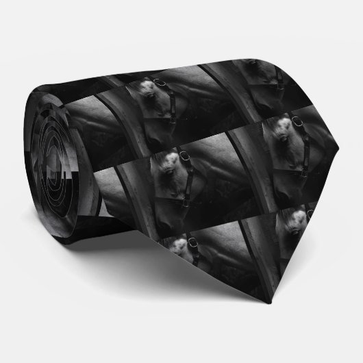 100万ドルのタピットファーリー ネクタイ (ロール)