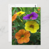 100万ベルカラフルフローラはがき ポストカード (正面/裏面)