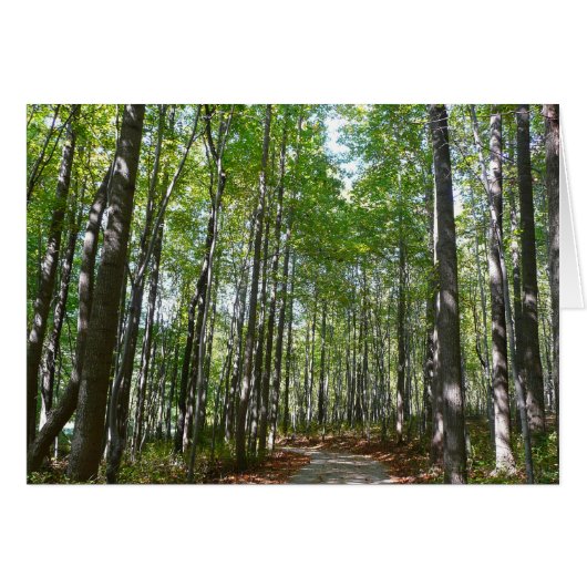 100周年の木道IIエリコットシティメリーランド (正面横)