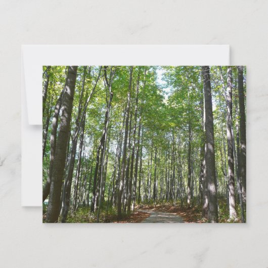 100周年の木道IIエリコットシティメリーランド (正面)