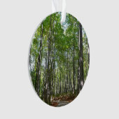 100周年の木道IIエリコットシティメリーランド オーナメント (正面)