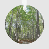 100周年の木道IIエリコットシティメリーランド オーナメント (裏面)