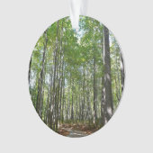 100周年の木道IIエリコットシティメリーランド オーナメント (正面)