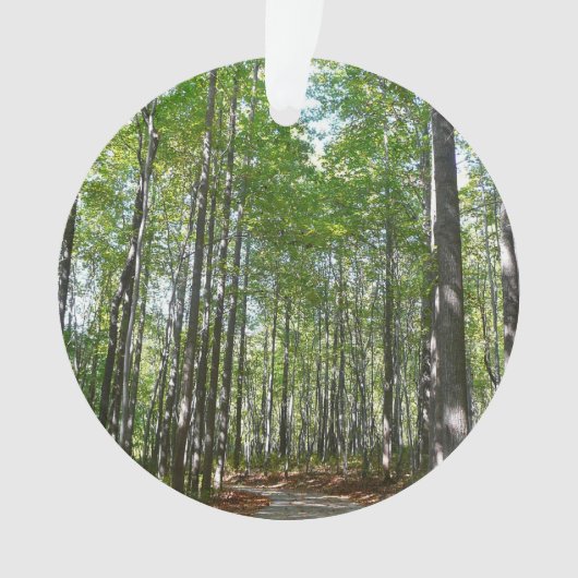 100周年の木道IIエリコットシティメリーランド オーナメント (正面)