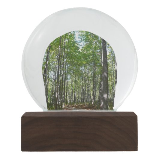 100周年の木道IIエリコットシティメリーランド スノーグローブ (正面)