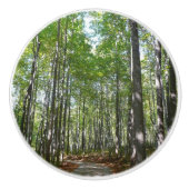 100周年の木道IIエリコットシティメリーランド セラミックノブ (正面)