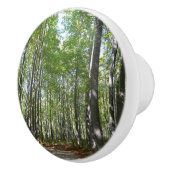 100周年の木道IIエリコットシティメリーランド セラミックノブ (右)