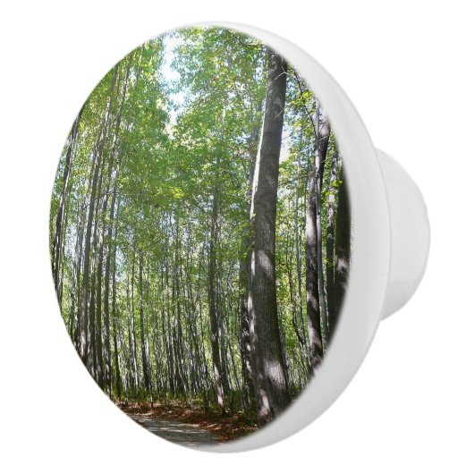 100周年の木道IIエリコットシティメリーランド セラミックノブ (右)