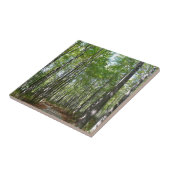 100周年の木道IIエリコットシティメリーランド タイル (側面)