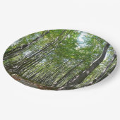 100周年の木道IIエリコットシティメリーランド ペーパープレート (アングル)