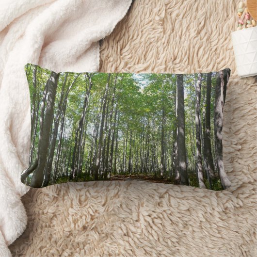 100周年の木道IIエリコットシティメリーランド ランバークッション (ブランケット)