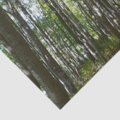 100周年の木道IIエリコットシティメリーランド 薄葉紙 (詳細)