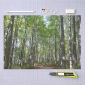 100周年の木道IIエリコットシティメリーランド 薄葉紙 (クラフト)