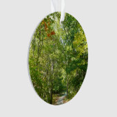 100周年ウッドメットパスIエリコットシティ自然 オーナメント (正面)