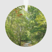 100周年ウッドメットパスIエリコットシティ自然 オーナメント (裏面)