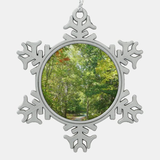 100周年ウッドメットパスIエリコットシティ自然 スノーフレークピューターオーナメント (正面)