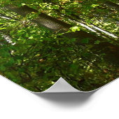 100周年ウッドメットパスIエリコットシティ自然 ポスター (角)