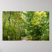 100周年ウッドメットパスIエリコットシティ自然 ポスター (正面)