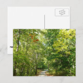 100周年ウッドメットパスIエリコットシティ自然 ポストカード (正面/裏面)