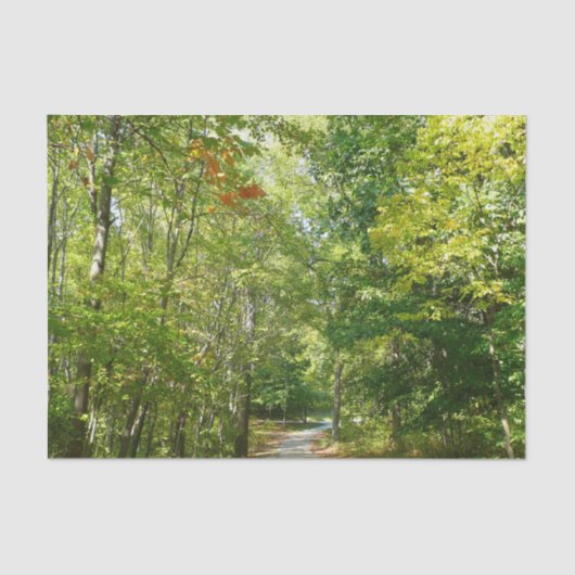 100周年ウッドメットパスIエリコットシティ自然 薄葉紙 (正面)